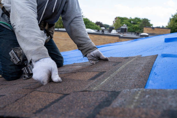 Best Roof Gutter Cleaning  in Whiteriver, AZ